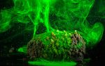 WORLD CLASS METHOD AROMA SPRAY FLUO 50ML - Image 3